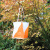 Orienteering Training Kite