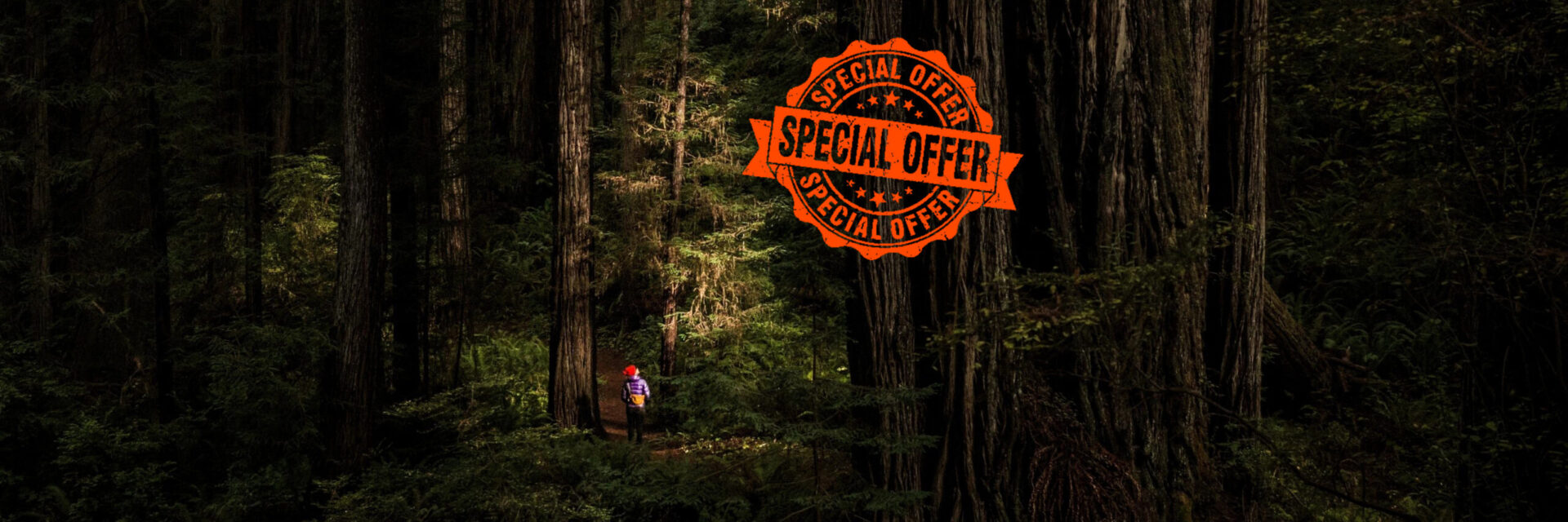 Special offers on orienteering and trail running equipment – discounted gear at Compass Point.