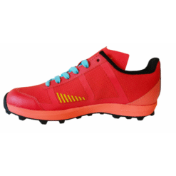 barku-fox-rbr-kids-2